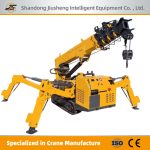 Tracked Spider Crane